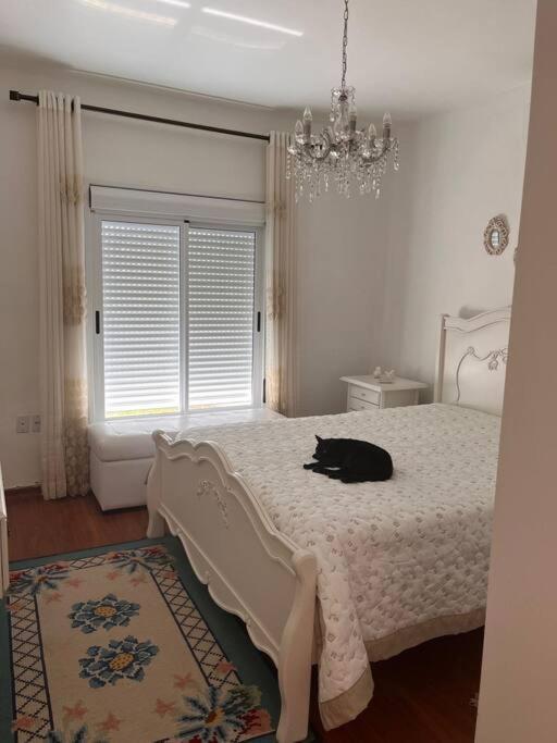 Refugio Dos Sonhos 9w9h5a8t5t1z7a3p Holiday home *